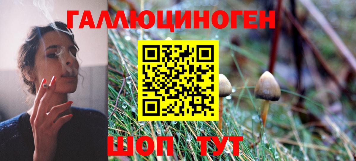 Кохма  Галлюциногенные грибы прущие грибы  Вход с VPN 