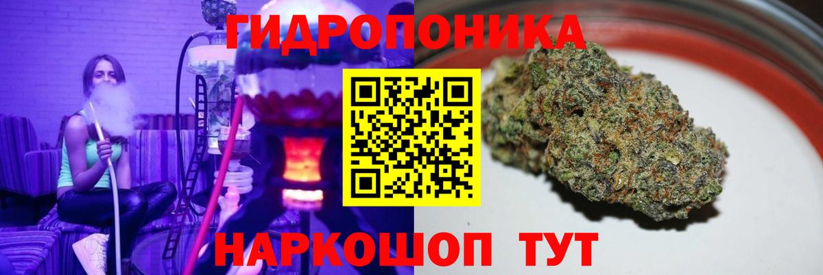Кохма  Марихуана Bruce Banner  Марихуана Amnesia  Вход с VPN 